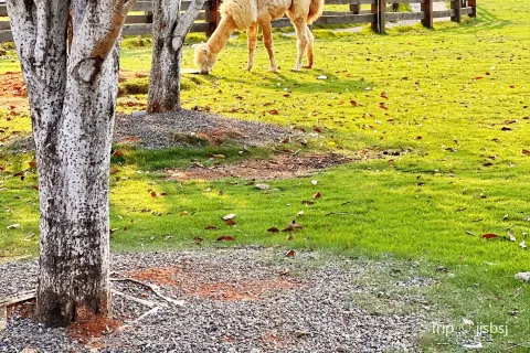Pingxiang Xianfeng Sanbao Scenic Area