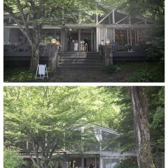 Paper Moon User Photo