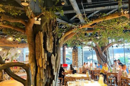 Yu Wei Chuan Cai  ( Ye Xiao Hang Mu Dian )