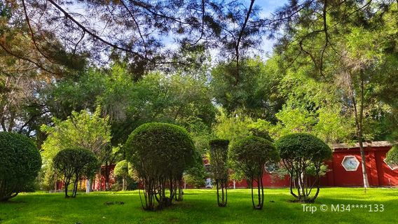 Kuitun Botanical Garden