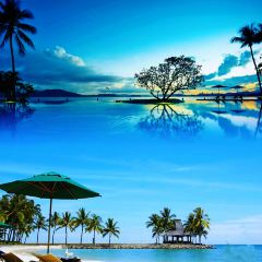 BORNEO LOUNGE & BAR User Photo