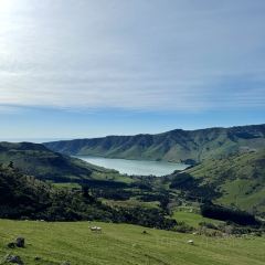 Akaroa Fish & Chips User Photo