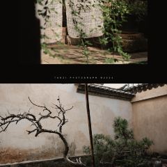 無一堂·茶空間 User Photo