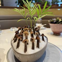 鼎尚养生火锅店 User Photo