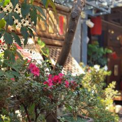小瓦碴厨房餐厅 User Photo