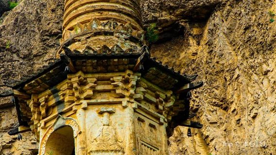 shuang ta si shuang ta