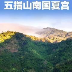 五指山亚泰雨林酒店·中餐厅 User Photo