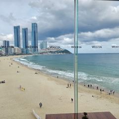 Jangsusam張用戶圖片