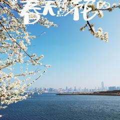 乐姿生活(杉杉奥莱店) User Photo