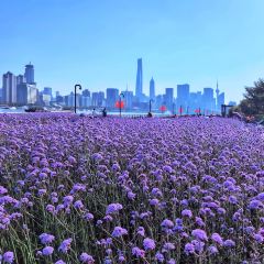 Hacker-Pschorr User Photo