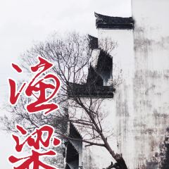两棵树馄饨店(渔梁住保小区店) User Photo