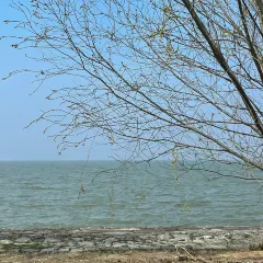 洪泽湖小鱼锅贴城(淮建路店) User Photo