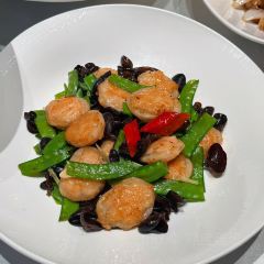 CHINSHOW porcelain feast User Photo