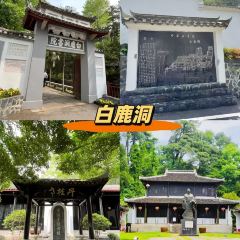 嘉豪淮海国际豪生酒店·浔阳中餐厅 User Photo