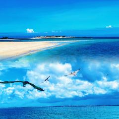 福记瘦肉丸(学院西路店) User Photo