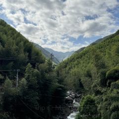 山邊邊咖啡張用戶圖片