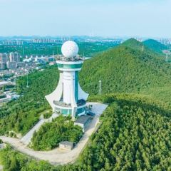 九里羊汤馆(鼓楼园林店) User Photo