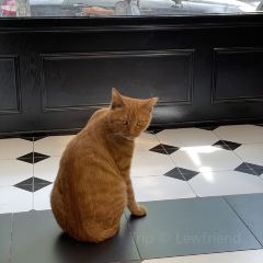 陈记爷爷婆婆蛋烘糕(还玉苑店) User Photo