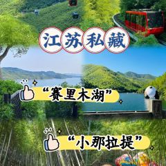 YU YAN LOU User Photo