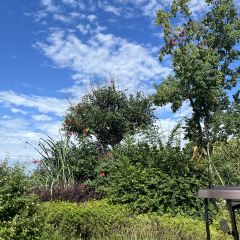 云孚里云宿.西湖云岛·餐厅 User Photo