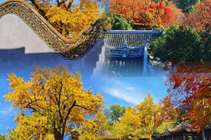 阗福斋(惠山古镇店)