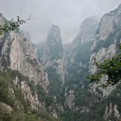 张记逍遥胡辣汤(大坑沿街店) User Photo