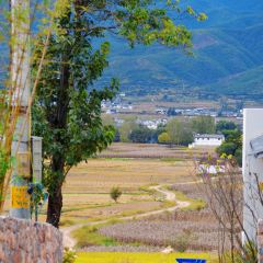 村边·合CAFE User Photo