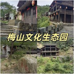 SHANGXILEICHA User Photo