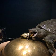 CRANE PALACE User Photo