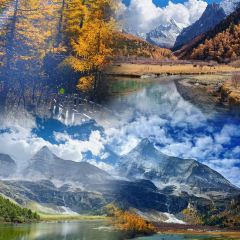 Hot pot of Tibetan User Photo