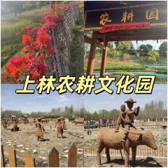 qiuwumeizhujiaofen User Photo