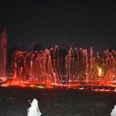 遂宁首座万豪酒店·大堂吧 User Photo