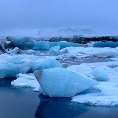 Heimahumar - Local Langoustine User Photo