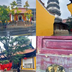 大南门牛肉包子店 User Photo