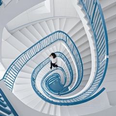 JIN SHANG REASTAURANT User Photo