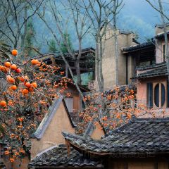 拾光餐集(东壁村店) User Photo