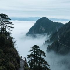 DOU XIANG SHI User Photo