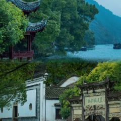 面包与空气 User Photo