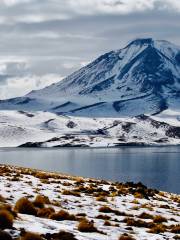 Laguna Chaxa