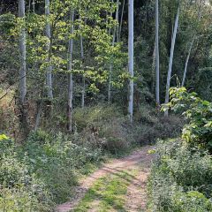 山涧别院 User Photo