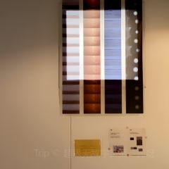 小滿cafe張用戶圖片