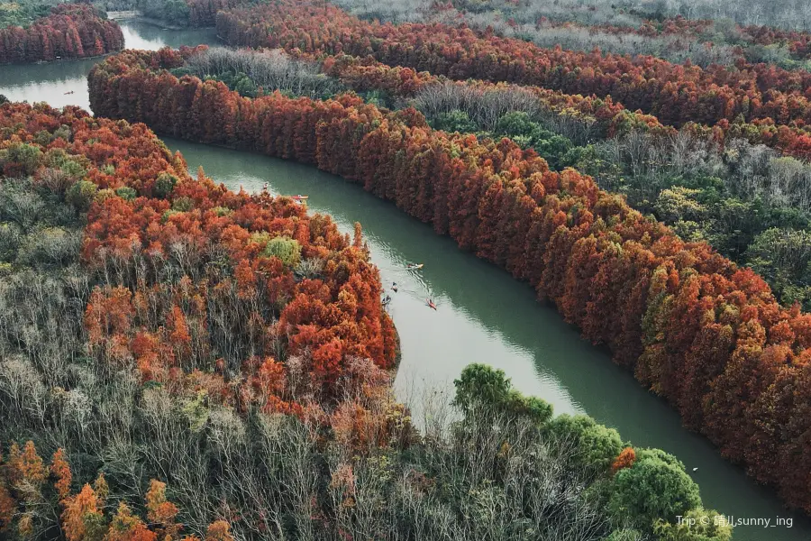 Bainiao Lake, Shanghai