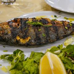 Ristorante Da Massi User Photo