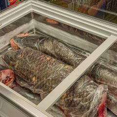 老东北铁锅炖(东风路店) User Photo