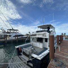 Dockside Bar & Grille User Photo