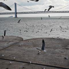 LIULUOGUO User Photo