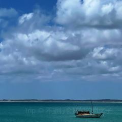 Sails at Robe User Photo