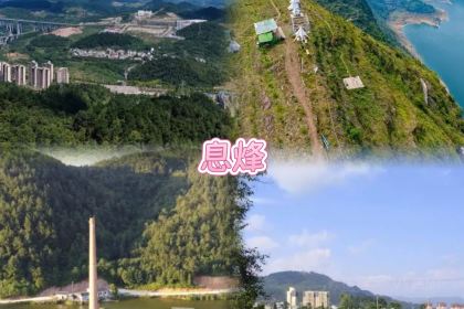 黃南武陽朗辣子雞