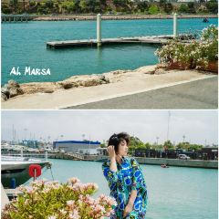Al Marsa張用戶圖片
