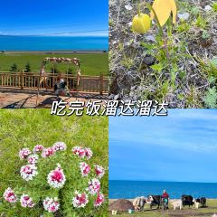 青海湖藏趣部落民宿·特色餐厅 User Photo